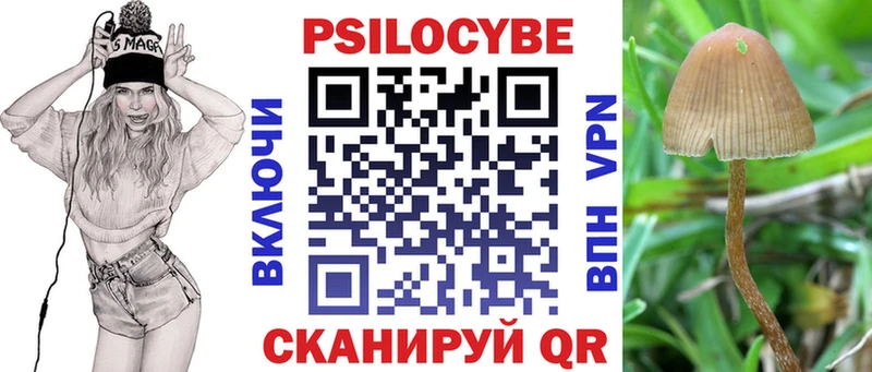 Купить где Кудрово Псилоцибиновые грибы мухоморы